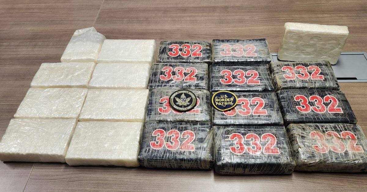 photo 2026 02 01 13 43 29